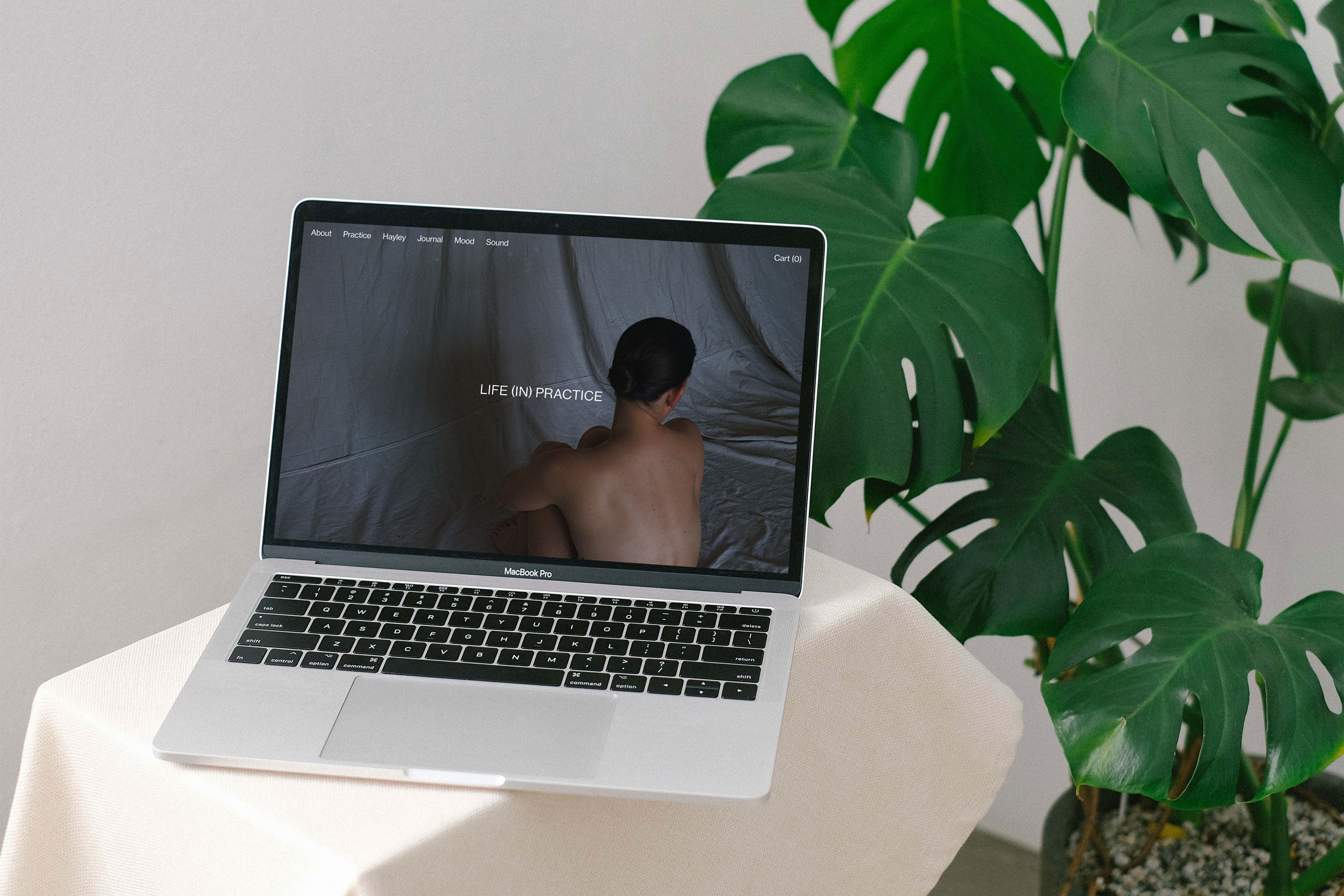 Life in Practice website